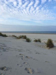 Insel Strand