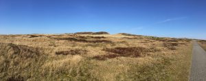 Insel Düne