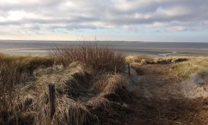 Insel Düne
