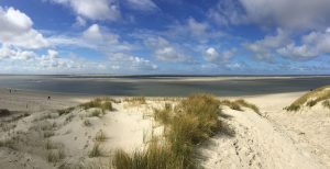 Insel Strand